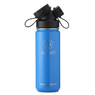 INSULATED STAINLESS STEEL FLASK // 18OZ // BLUE